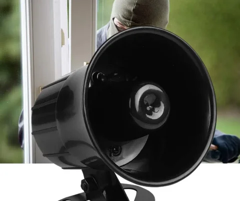 علت سوختن بلندگو دزدگیر