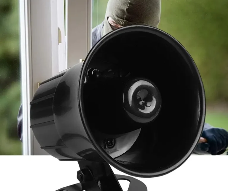 علت سوختن بلندگو دزدگیر